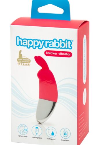 knicker vibrator